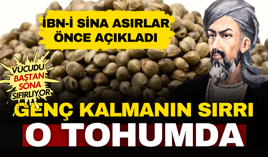 İbn-i Sina’dan asırlardan günümüze genç kalmanın sırrı! Bu tohum ile yenilenin!