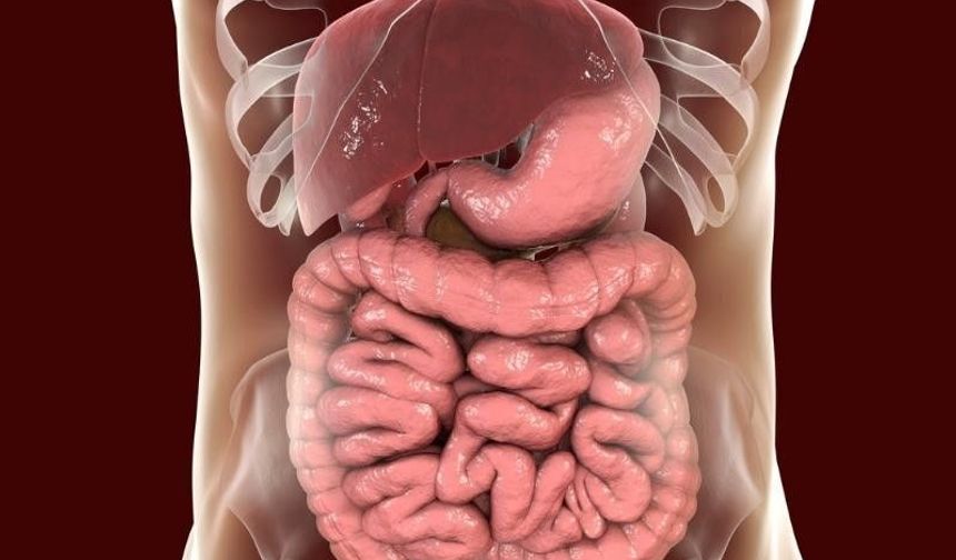 Bağırsak sağlığı için 5 kritik uyarı: Uzmanlar bu gıdalardan uzak durun diyor