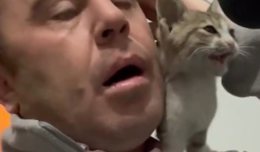 Ezan sırasında müezzinin omzuna çıkan yavru kedi herkesi büyüledi