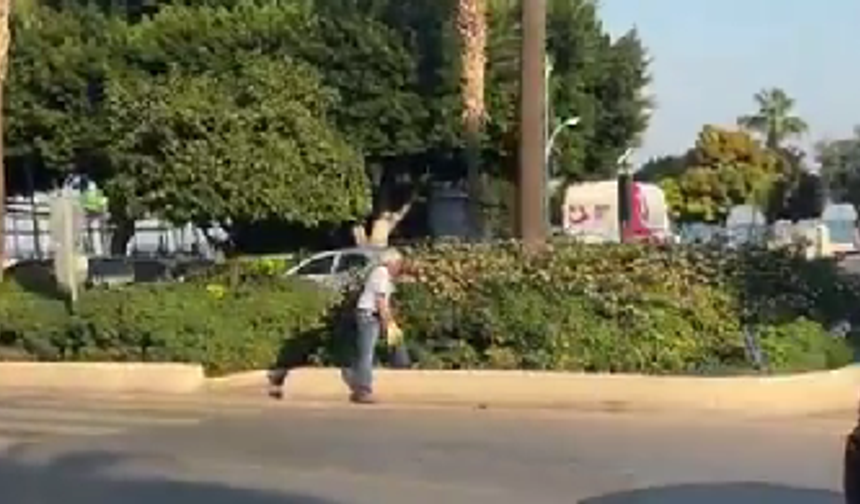 Orta refüjde çiçek budayan dede, torununu şaşırttı: "Hep gözüme takılıyordu"