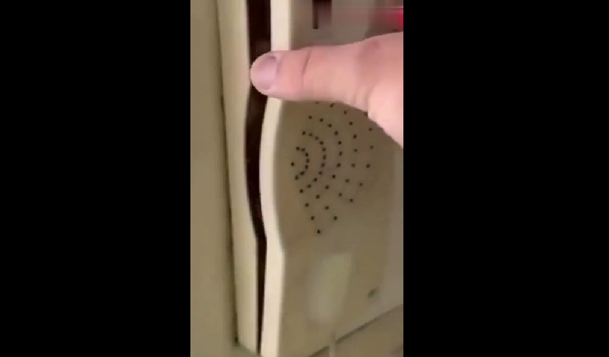 Kapı zilinden kabus gibi sürpriz: Yüzlerce hamamböceği fışkırdı!