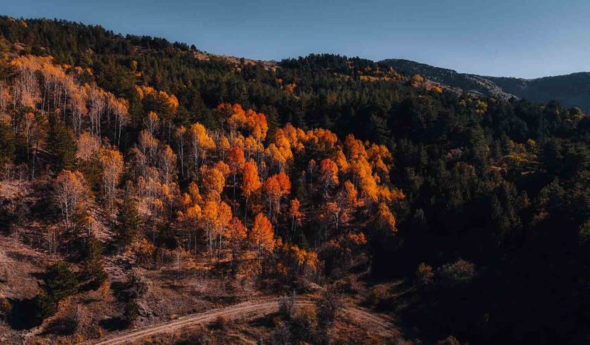 Ankara’nın Renk Cümbüşü Mest Etti!