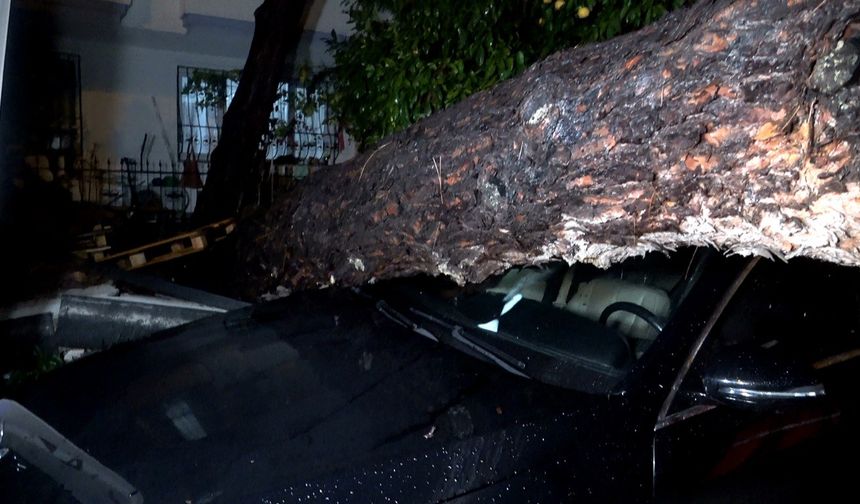 Antalya’da fırtına ve yağmur korkuttu! Ağaç devrildi, araçlar hasar gördü