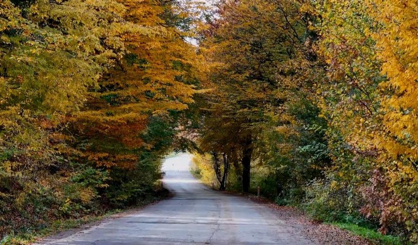 Ankara’da sonbaharda gezilecek yerler! Şehrin en güzel rotaları
