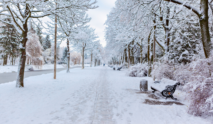 Kış kendini gösterecek! Hafta sonu kar geliyor