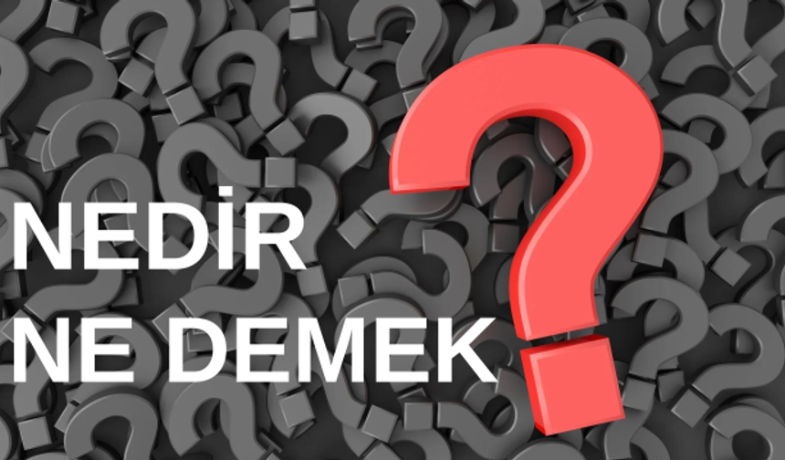 Selenge ne demek? Hangi dilde? Ne anlama gelmektedir? İsmi kaç kişide var?