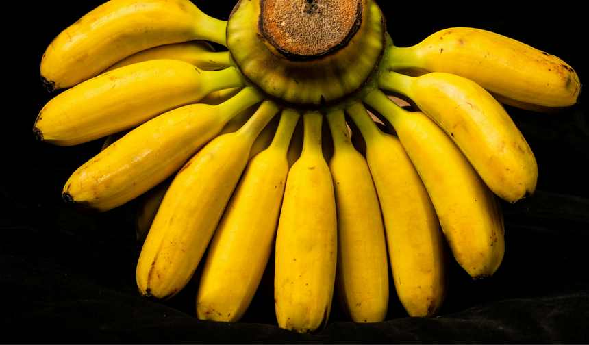 Çöpe giden servet! Muz kabuğunun bilinmeyen faydaları ortaya çıktı