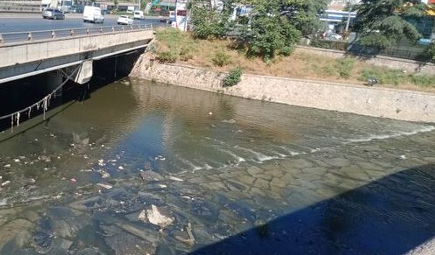 Ankara’da 800 Yıllık Tarihi Köprü Bakım Bekliyor