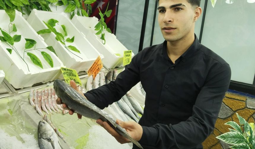 Kış mevsiminde hangi balıklar tüketilmeli?