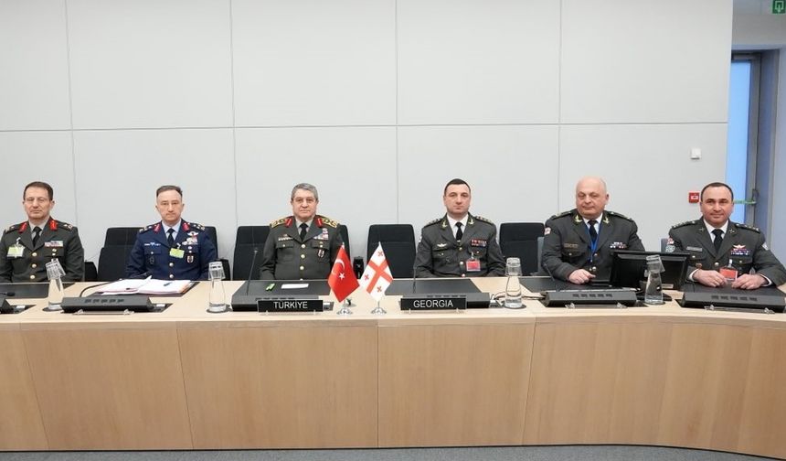 Genelkurmay Başkanı Orgeneral Bayraktaroğlu, Gürcü ve Japon mevkidaşlarıyla bir araya geldi