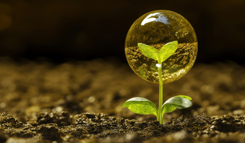 Ankara Yıldırım Beyazıt Üniversitesi Erasmus+ ile genç yeşil liderler yetiştirecek