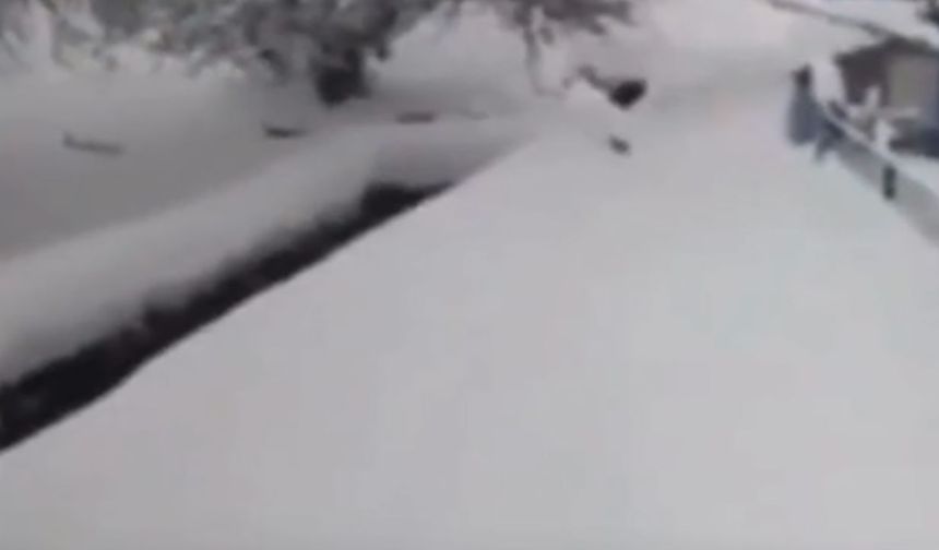 İmamın çağrısıyla kediler karda tek sıra halinde yürüdü!