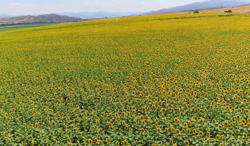 Çiftçiler dikkat: B-Reçete dönemi başlıyor her şey değişiyor...