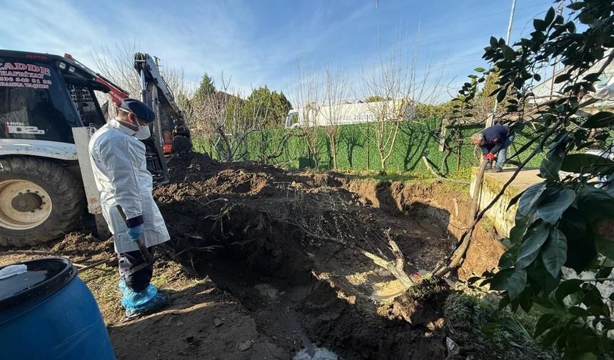 Gerçek 17 yıl sonra ortaya çıktı: Kemikleri eski eniştenin bahçesinde bulundu!