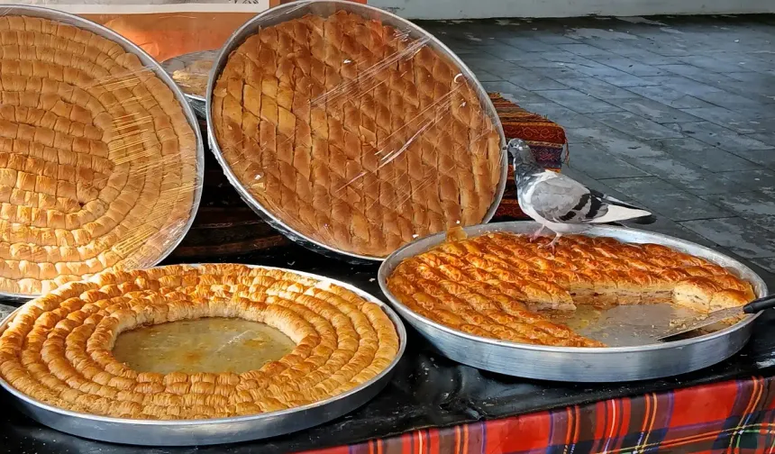Bir tepsi baklavaya güvercin kondu