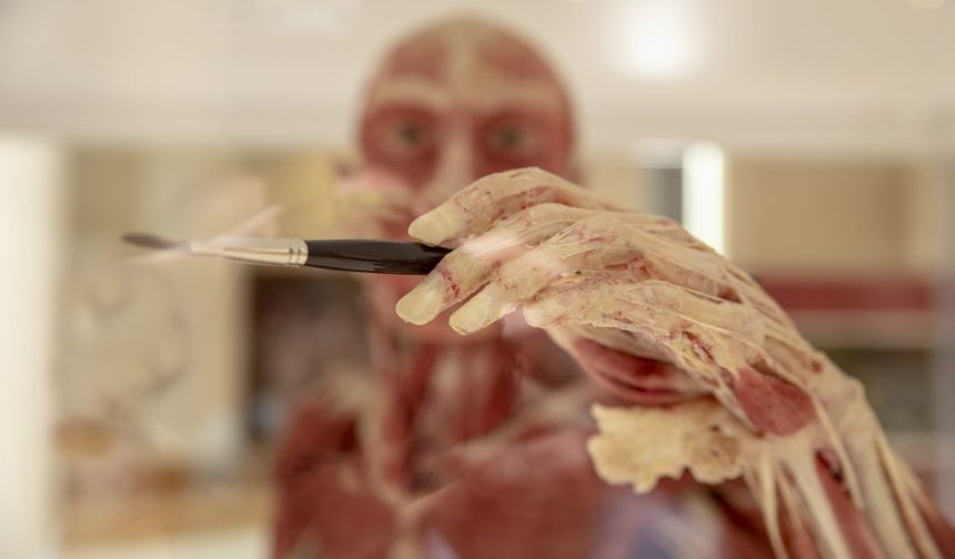 Ankara'nın en ilgi çekici müzelerinden biri: Burada gerçek insan kadavrası bile var!