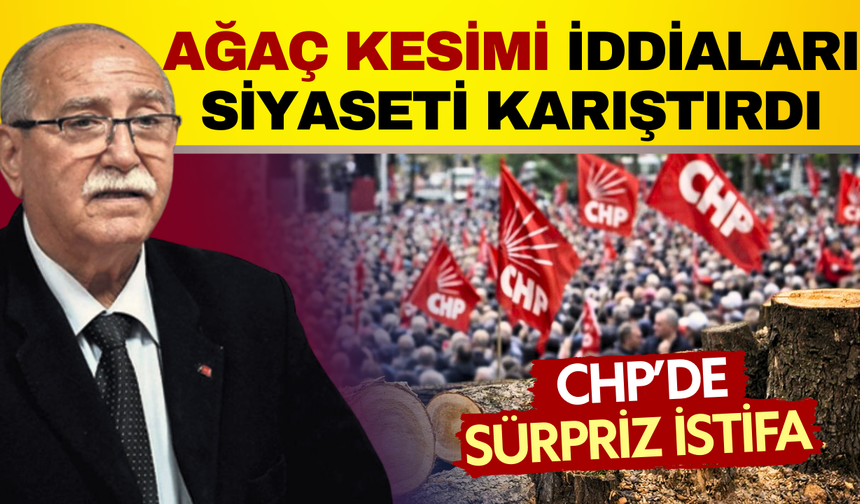 CHP mitingi için ağaç kesildiği iddiaları ortalığı karıştırdı: İlçe Başkanı istifa etti!