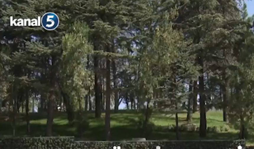 Açıköğretimde son dakika kararı! Kayıt süresi uzatıldı