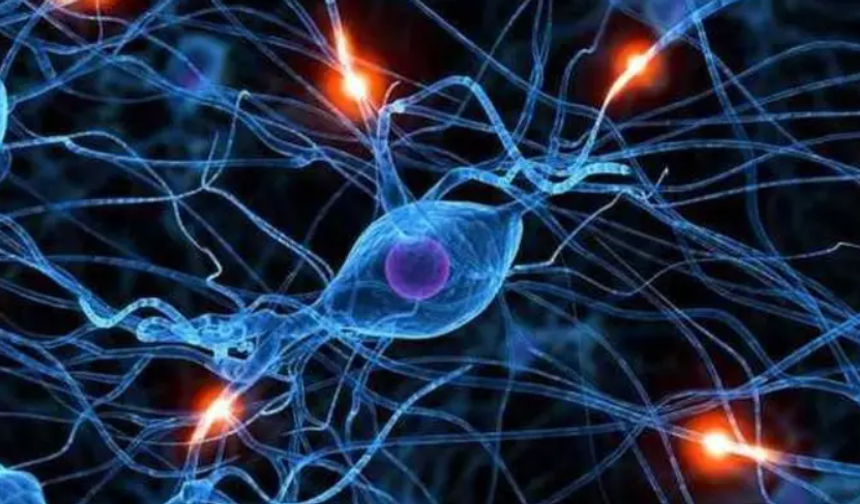 Bilimden Kliniğe Kök Hücre Tedavileri: Uzmanlar Ankara'da Buluşuyor