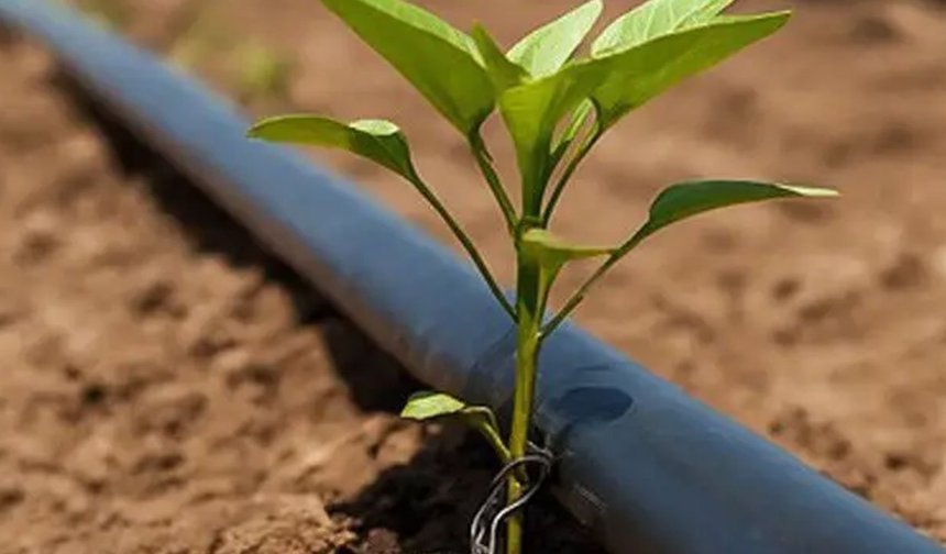 Ankara Büyükşehir’den çiftçilere büyük destek: Yüzde 50 hibeli verilecek!