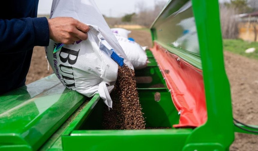 Ankara'da karabuğday seferberliği! 2026 Ekim çalışmaları resmen başladı
