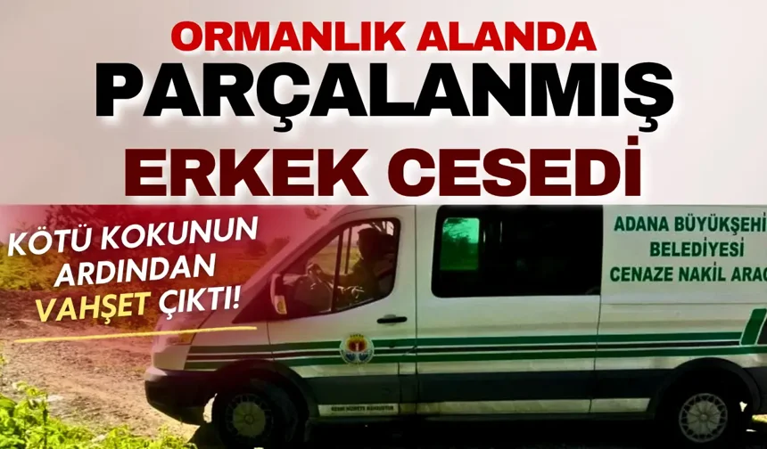 Adana'da korkunç olay: Kötü kokunun nedeni parçalanmış erkek cesedi çıktı!