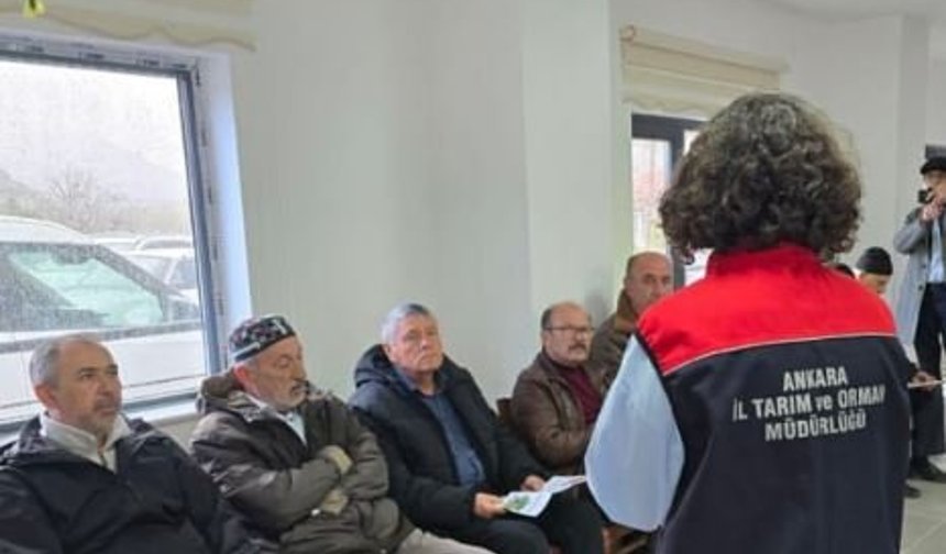 Tarımda Tehdit Büyüyor: Kahverengi Kokarca İçin Sahada Yoğun Mücadele