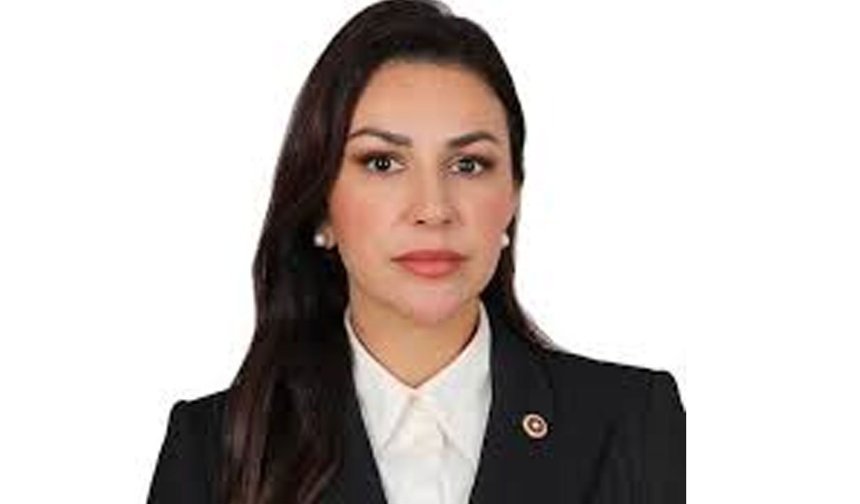 Nilhan Ayan kimdir, Nilhan Ayan AK Parti yeni görevi ne?