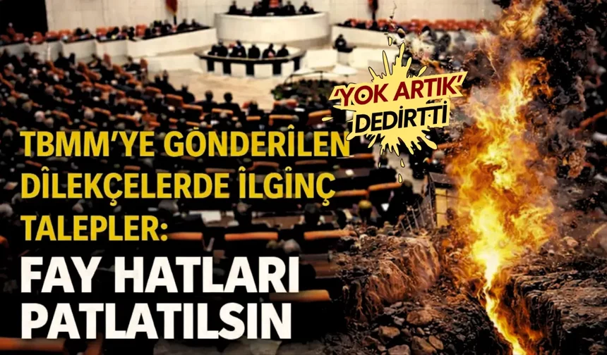 TBMM’ye gönderilen dilekçelerde ilginç talepler: Fay hatları patlatılsın, kapalı mayo getirilsin…