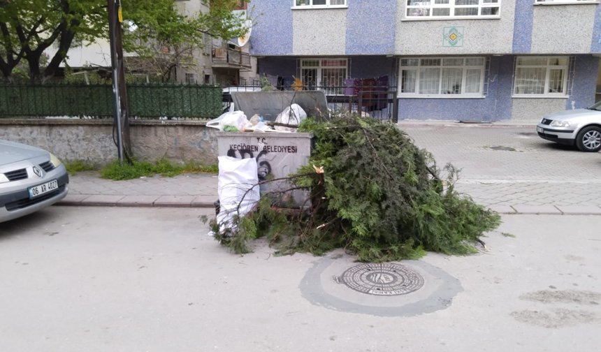 MART AYININ GELMESİ İLE ANKARA'DA AĞAÇ BUDAMA İŞLEMLERİ HIZLANDI