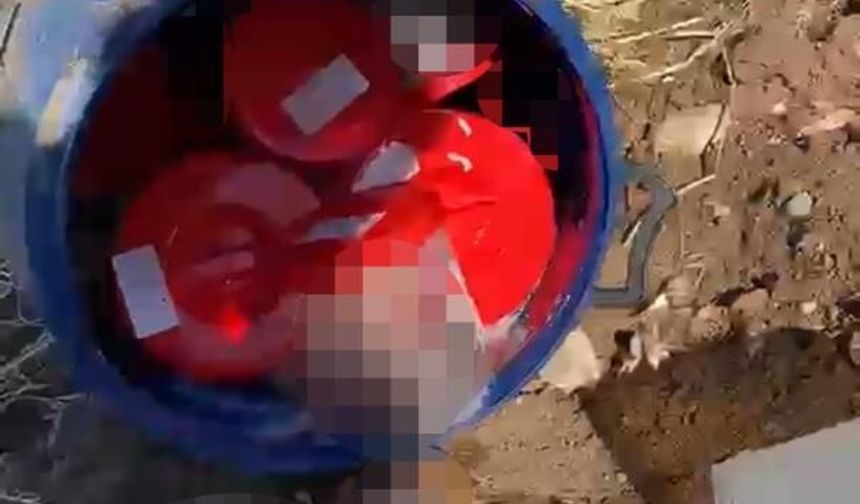 Şanlıurfa'da kan donduran olay! Mezarlıkta varilin içinden çıkan 21 cenin incelemeye alındı