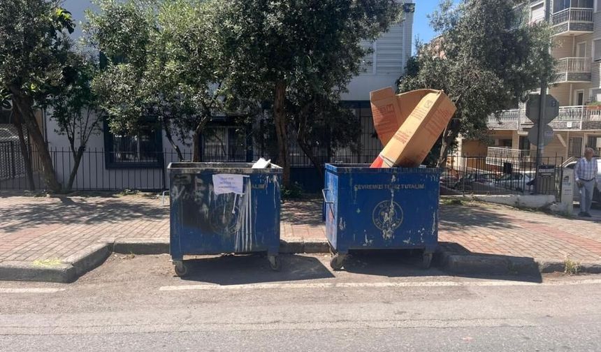 Çöp konteynerinde korkunç manzara: Poşetlerin içinden 33 ölü kedi çıktı!