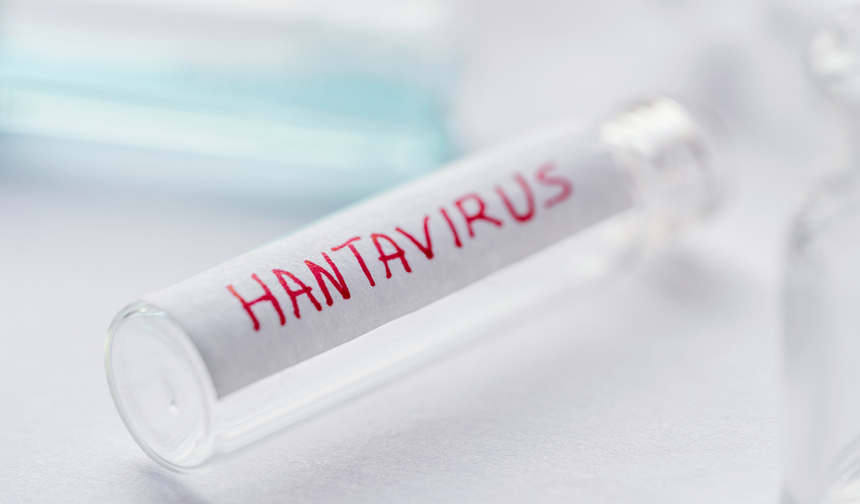 Hantavirüslü gemiden tahliye edilen 3 Türk vatandaşın test sonuçları belli oldu!