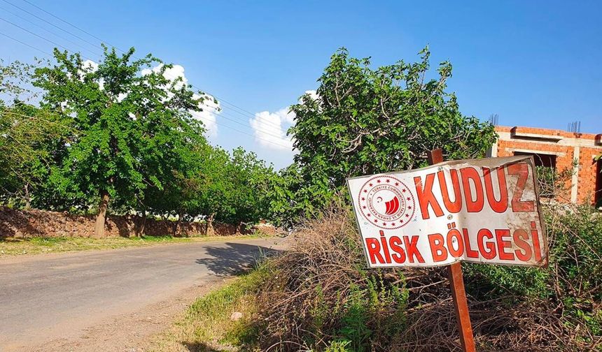 Van Edremit’te kuduz alarmı: 7 mahallede karantina tedbiri