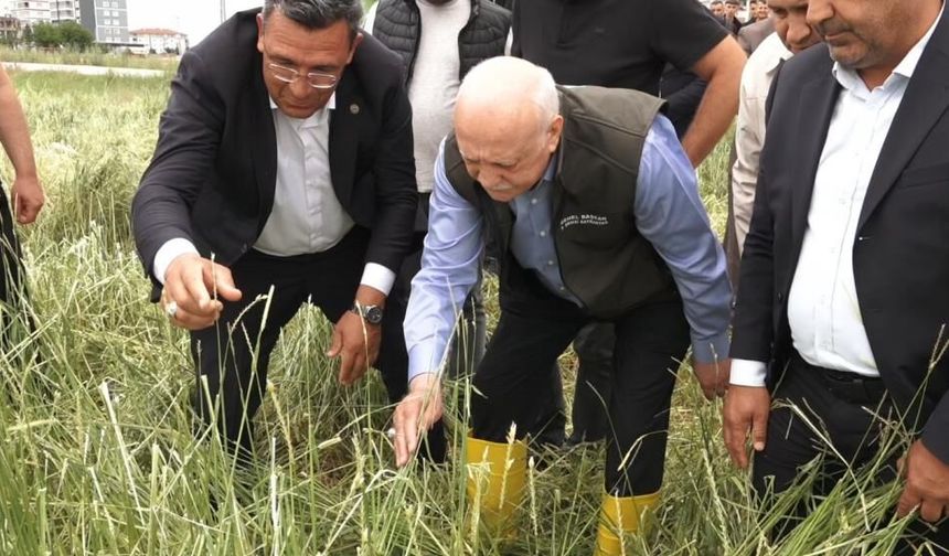 TZOB Başkanı Bayraktar’dan afet tespiti: Kahramankazan'daki dolu tarımı felç etti!