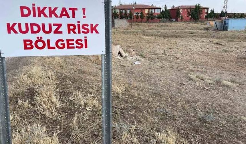 Van'da kuduz paniği! Karantina tedbirleri alındı
