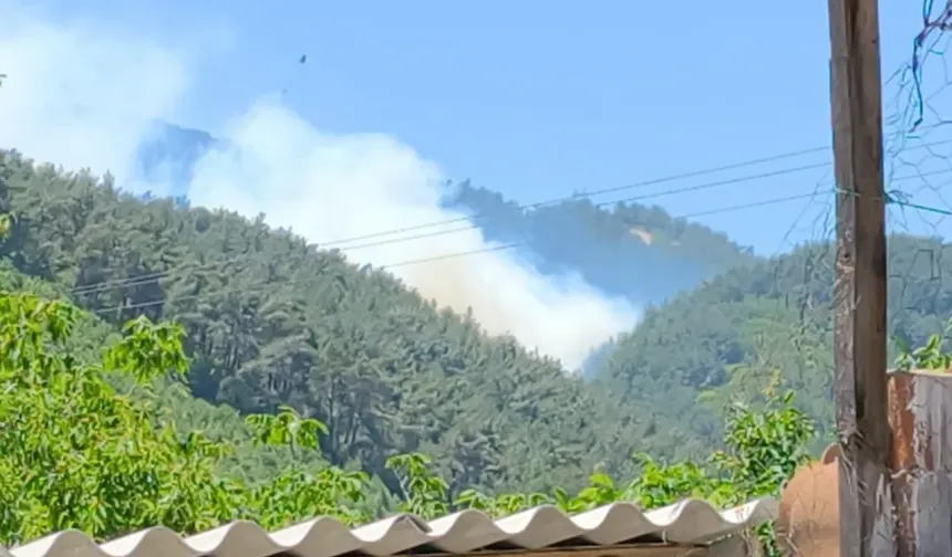 Manisa Soma’da orman yangını: Alevlere havadan ve karadan müdahale ediliyor