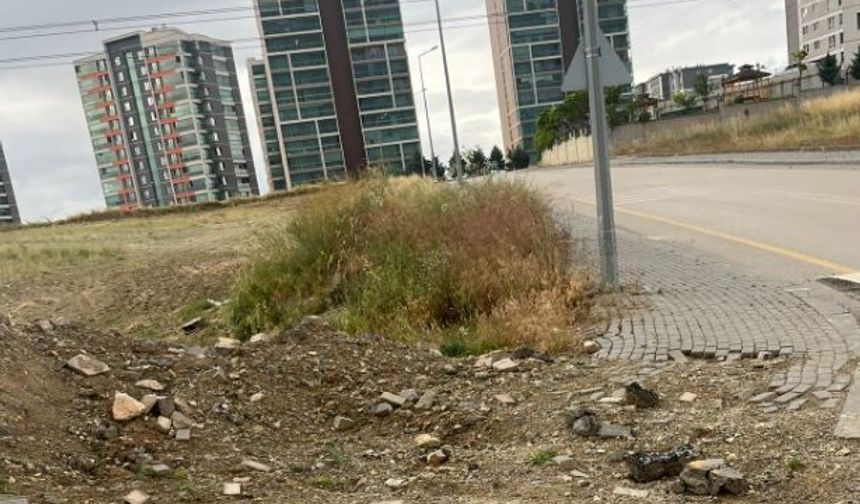 Yılan Korkusu, Ot Sorunu, Bakımsızlık... Susuz Mahallesi Çözüm Bekliyor