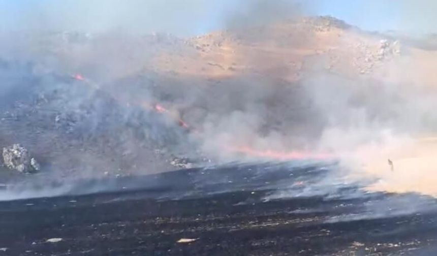 Ankara'da yangın alarmı! Nallıhan'daki felaketi itfaiyenin hızlı müdahalesi önledi