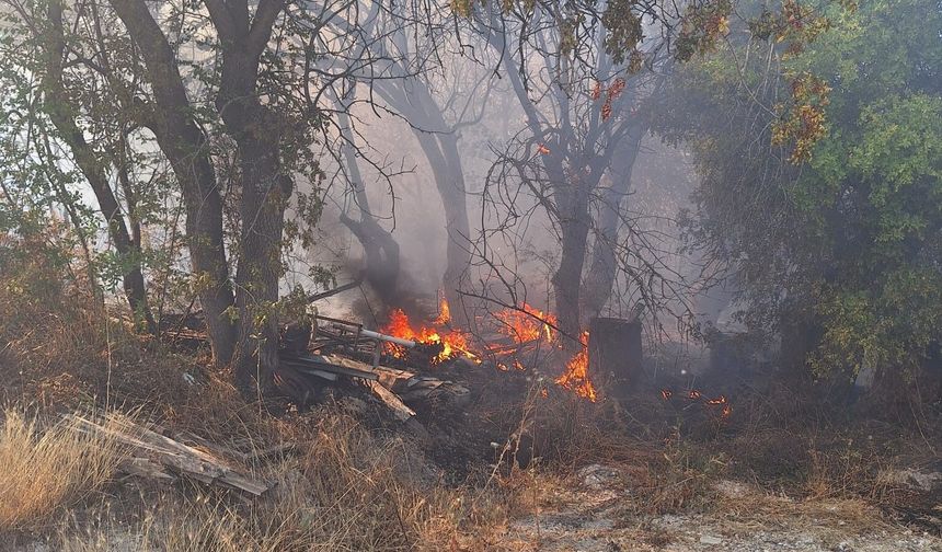 Ankara'da korkutan orman yangını! İki ev küle döndü