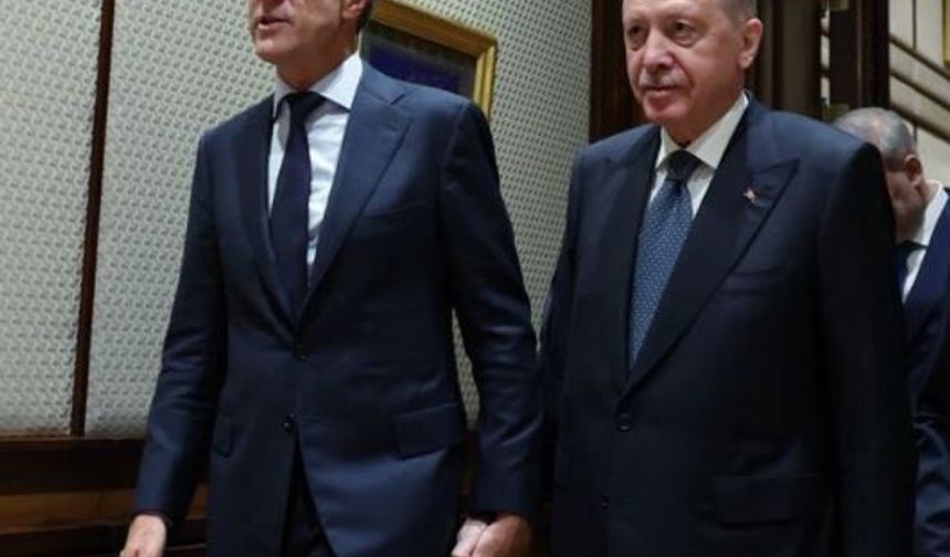 Ankara'da zirveye damga vuran kare! Erdoğan ve Rutte el ele yürüdü