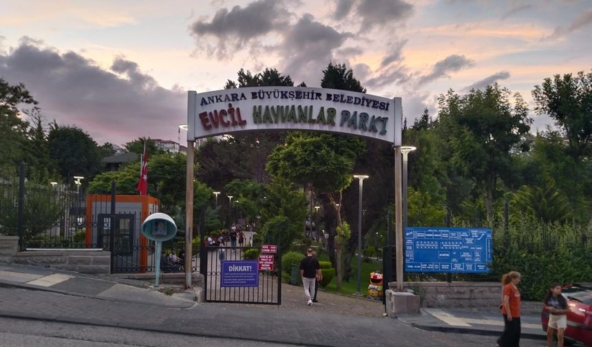 Keçiören Evcil Hayvanlar Parkı'nda ilginç hayvan manzaraları