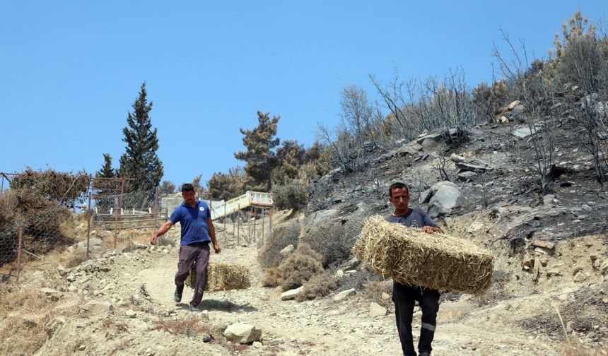 Muğla Büyükşehir Belediyesi, Seydikemer'de yangın yaralarını sarıyor