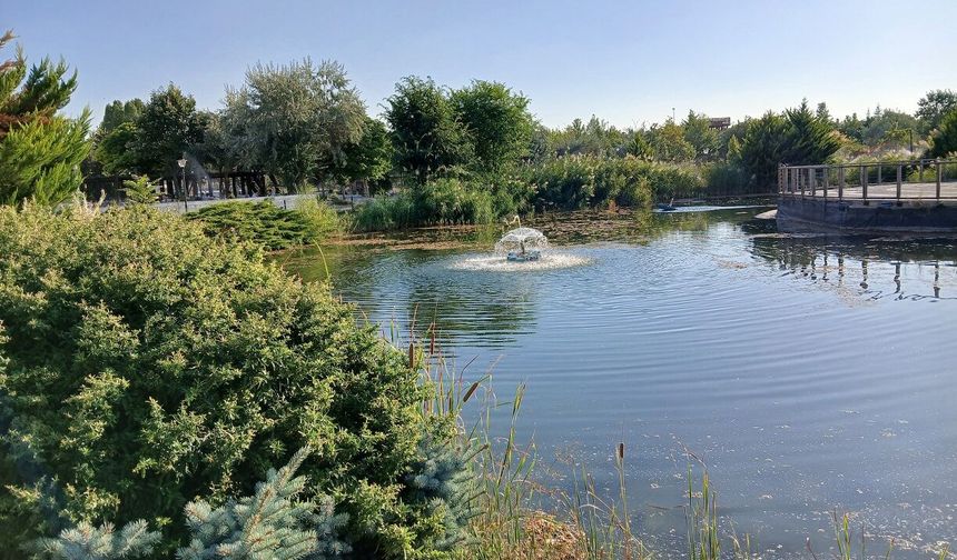 Uğur Mumcu Parkı yaz aylarında Başkentlilerin uğrak noktası oluyor