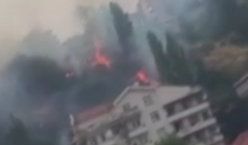 Ankara’da ağaçlık alan alevlere teslim oldu: Yangın kontrol altına alındı