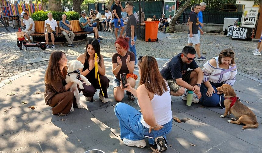 Kuğulupark’ta “Yuvamı Arıyorum” buluşması