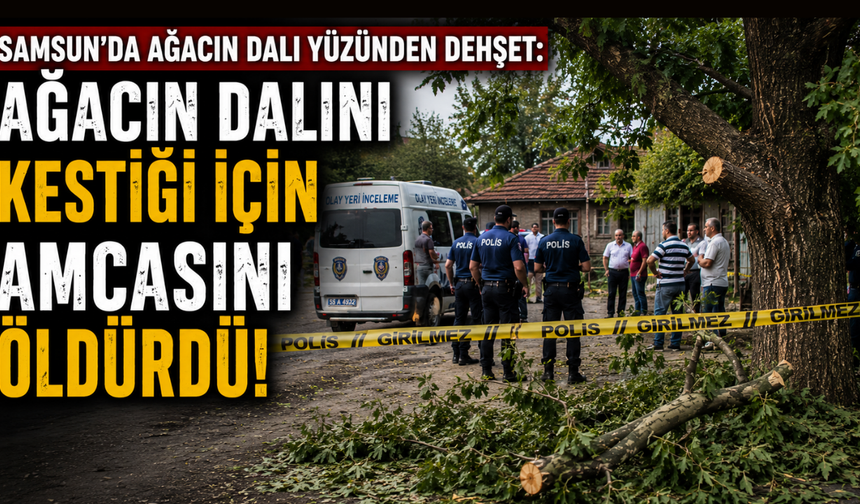 Samsun’da ağacın dalı yüzünden dehşet: Ağacın dalını kestiği için amcasını öldürdü!