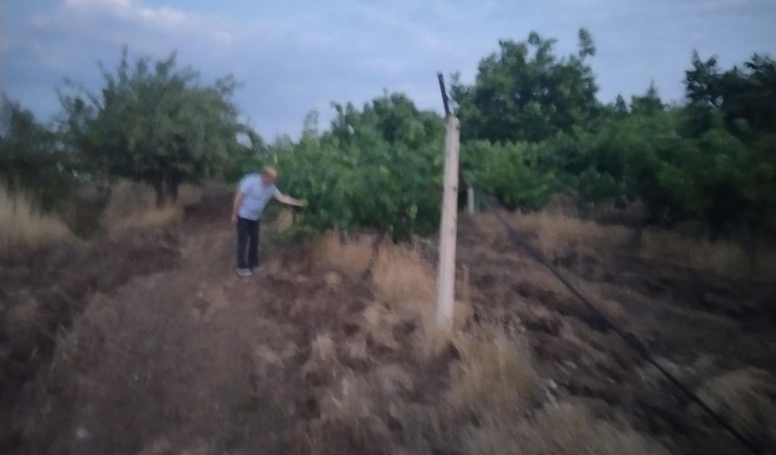 Ankaralı Mali Müşavir 20 yılda bir cennet üretti!