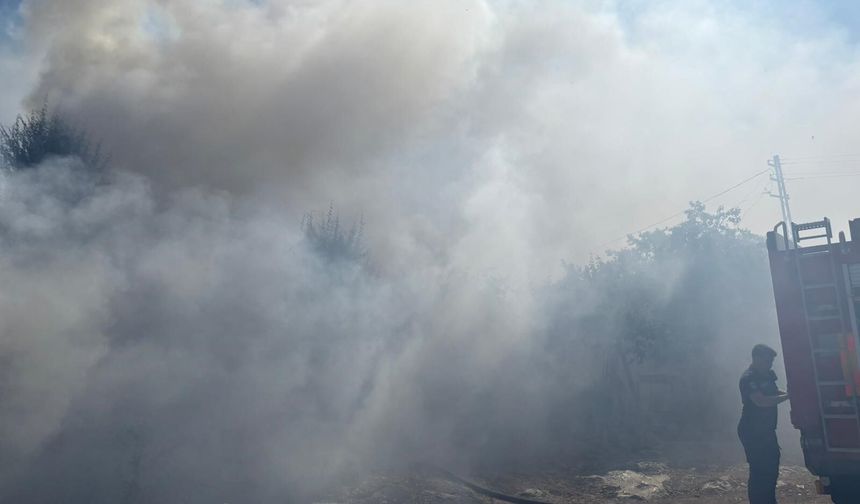 Ankara’da vericilerin bulunduğu otluk alan alevlere teslim oldu