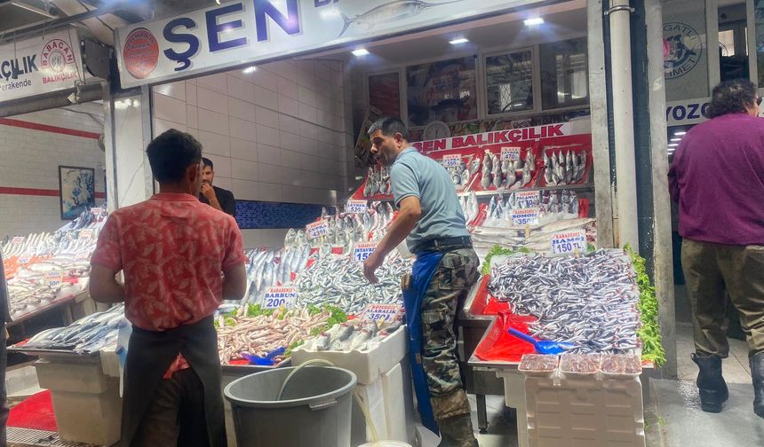 Balık sezonu başladı, Ulus Hali hareketlendi: “En taze balık Ankara’da yenir”